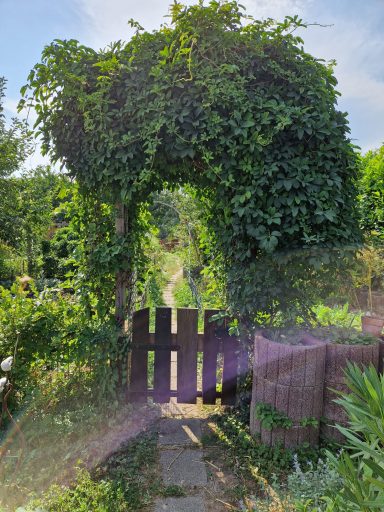 Vorderansicht Garten